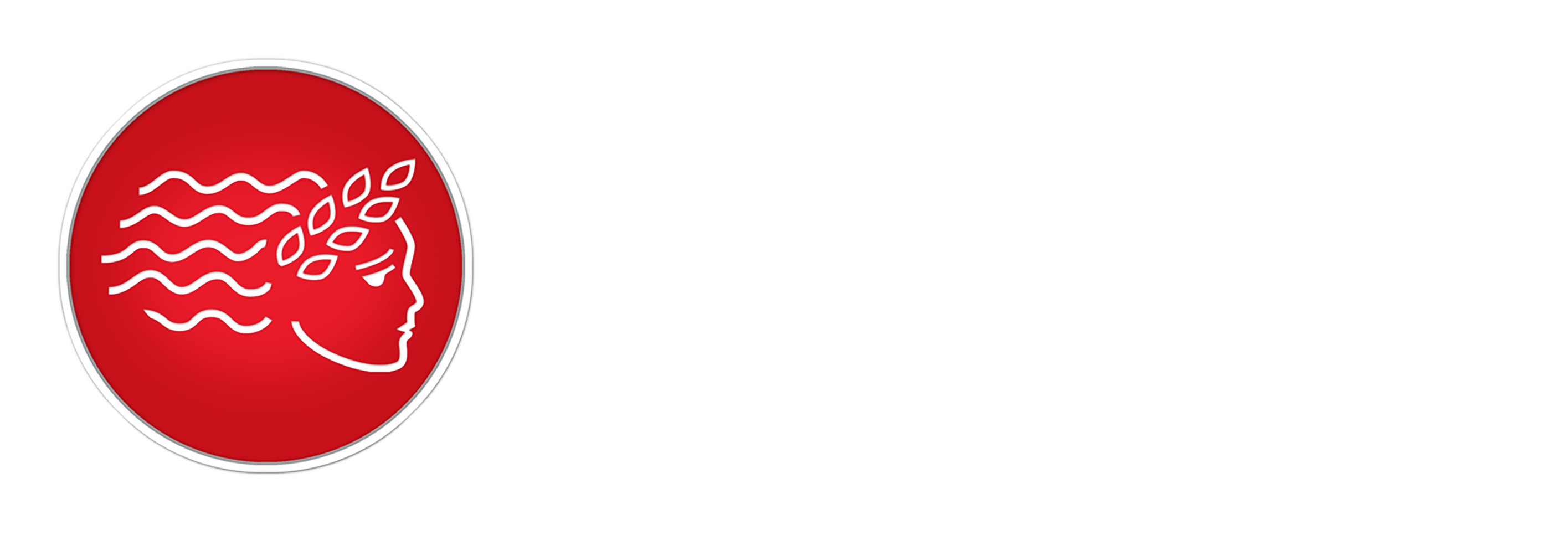 American Insight Logo