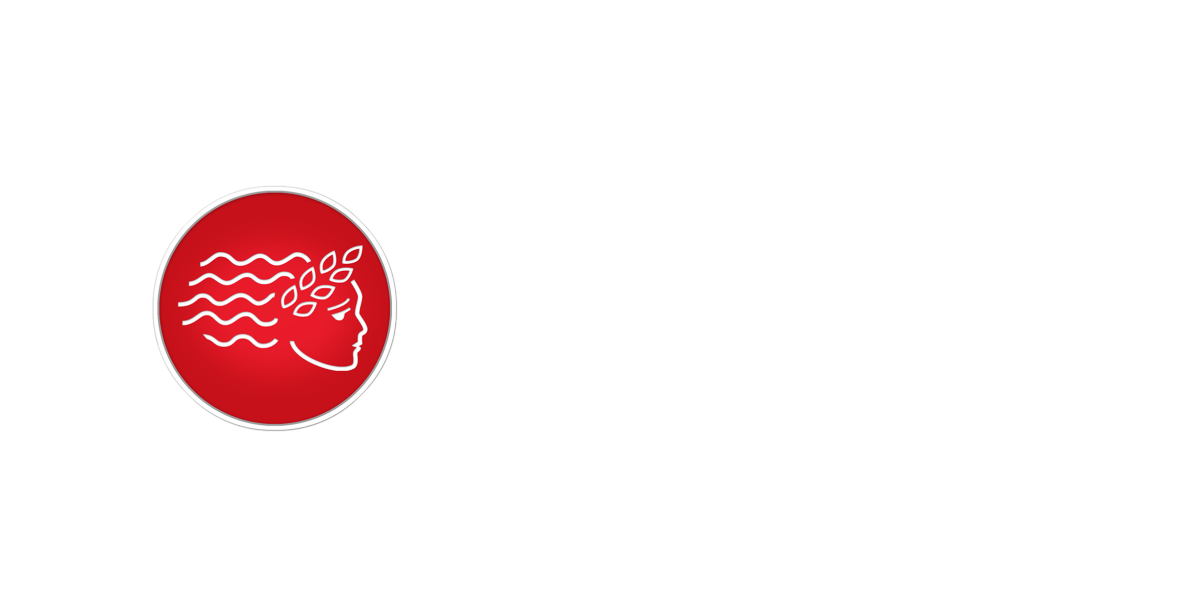 American INSIGHT Logo