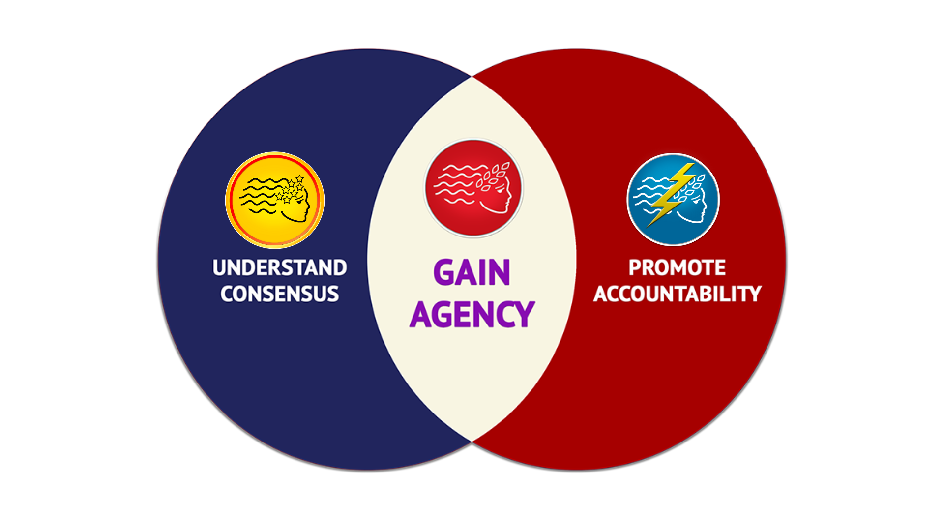 american-insight-chart-synergy